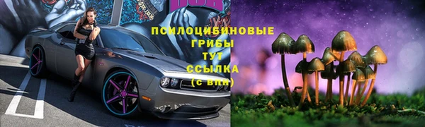 гидропоника Осинники
