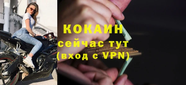 сатива Абаза