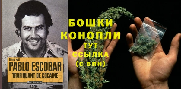 твердый Переславль-Залесский